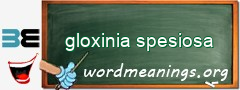 WordMeaning blackboard for gloxinia spesiosa